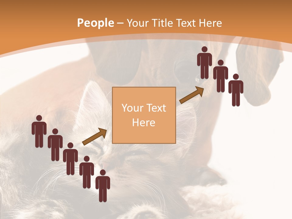 Kitten Rate Friends PowerPoint Template