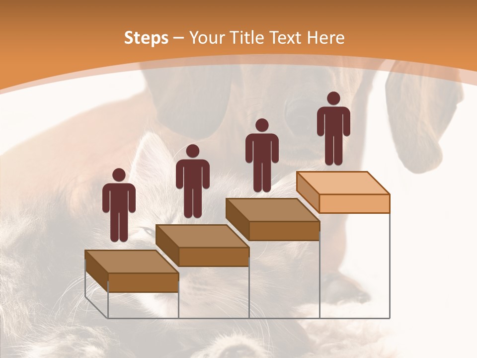 Kitten Rate Friends PowerPoint Template