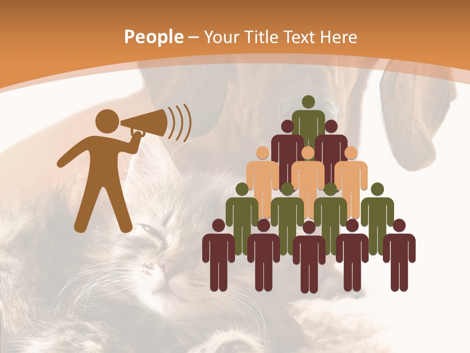 Kitten Rate Friends PowerPoint Template