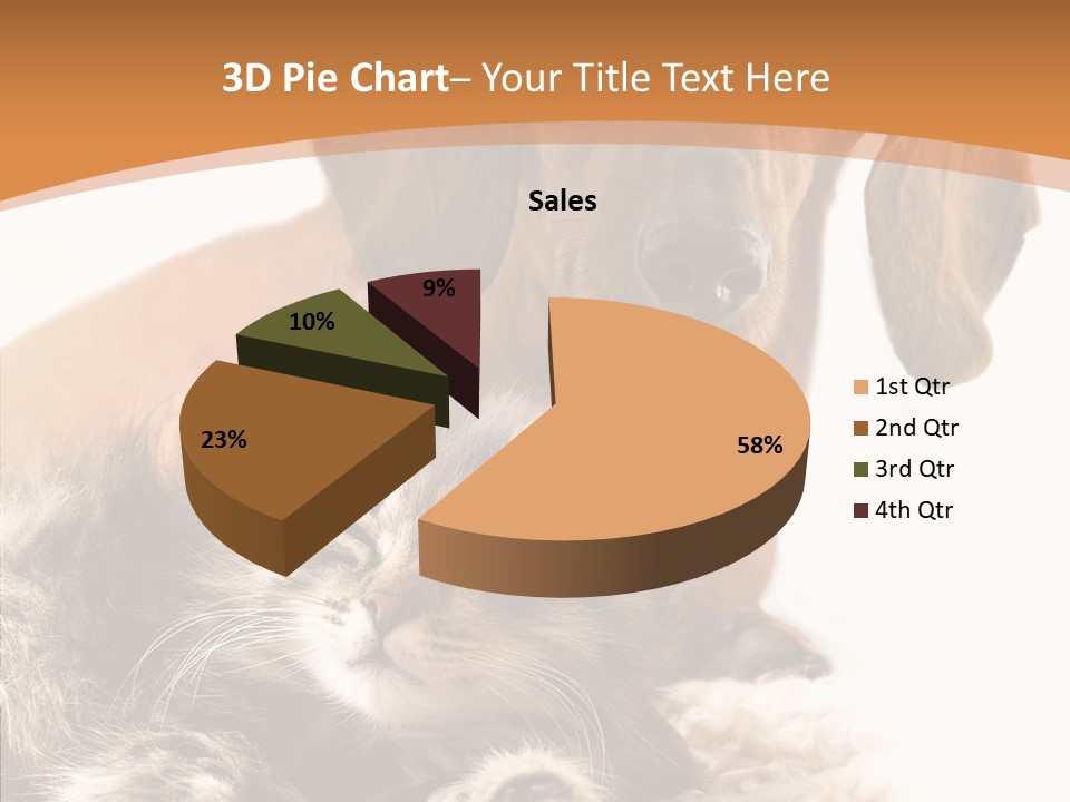 Kitten Rate Friends PowerPoint Template