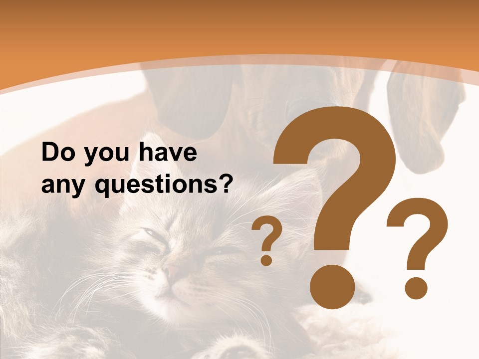 Kitten Rate Friends PowerPoint Template