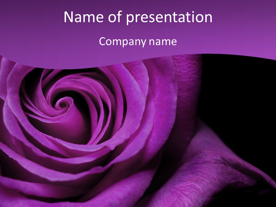 Blossom Rose Flower PowerPoint Template