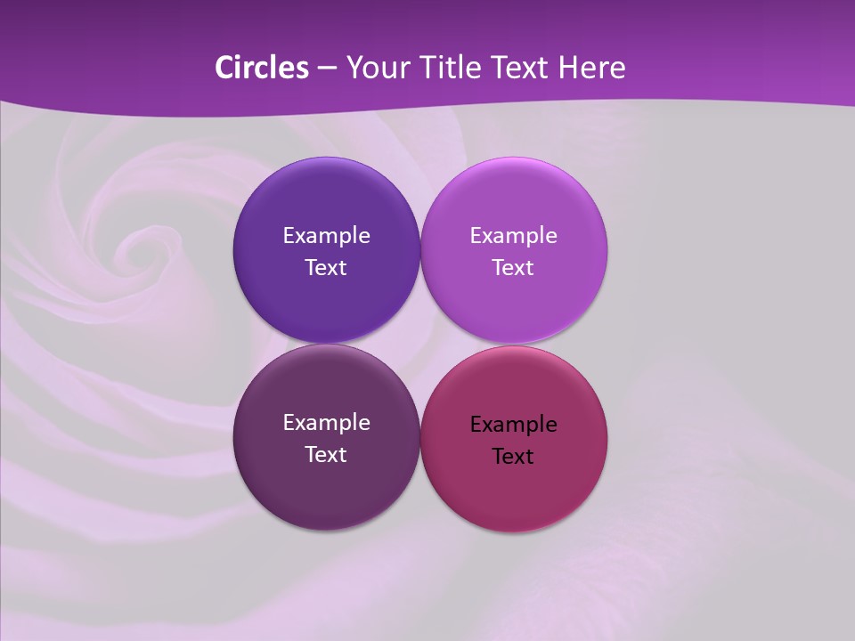 Blossom Rose Flower PowerPoint Template