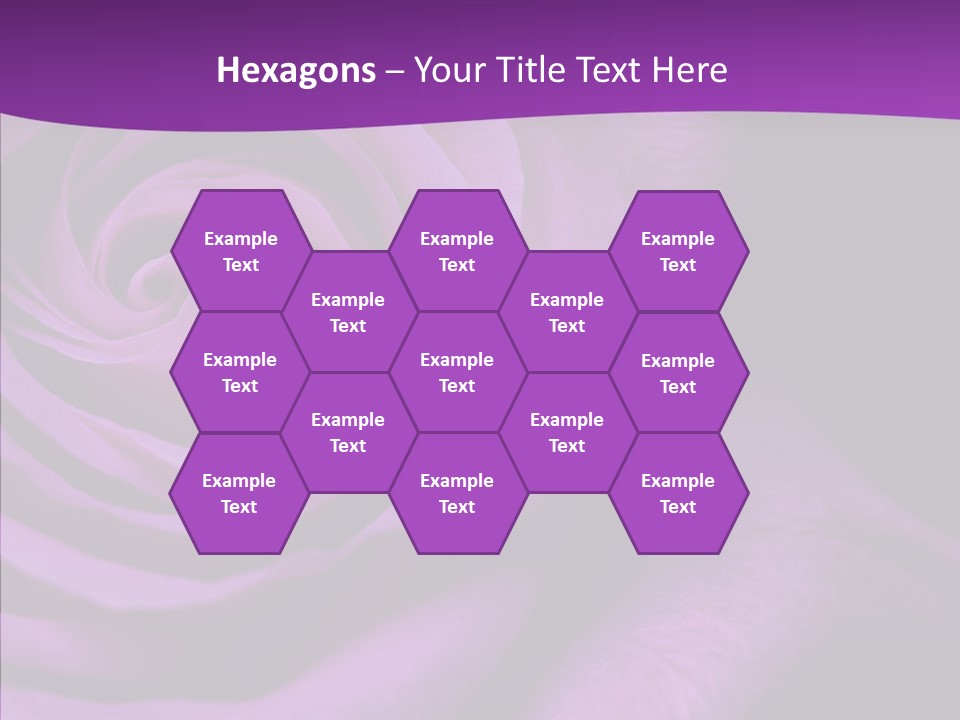 Blossom Rose Flower PowerPoint Template