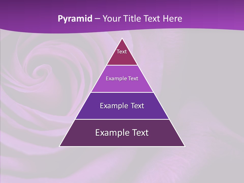 Blossom Rose Flower PowerPoint Template