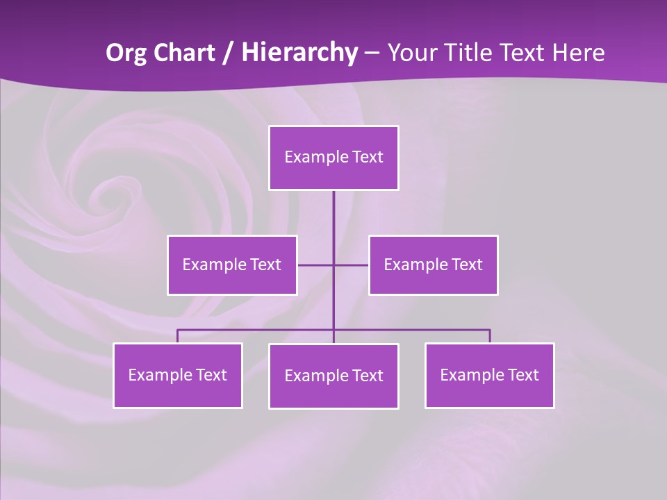 Blossom Rose Flower PowerPoint Template