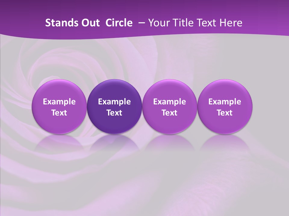 Blossom Rose Flower PowerPoint Template