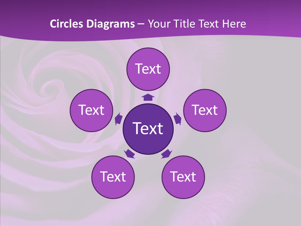 Blossom Rose Flower PowerPoint Template