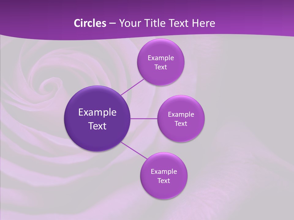 Blossom Rose Flower PowerPoint Template