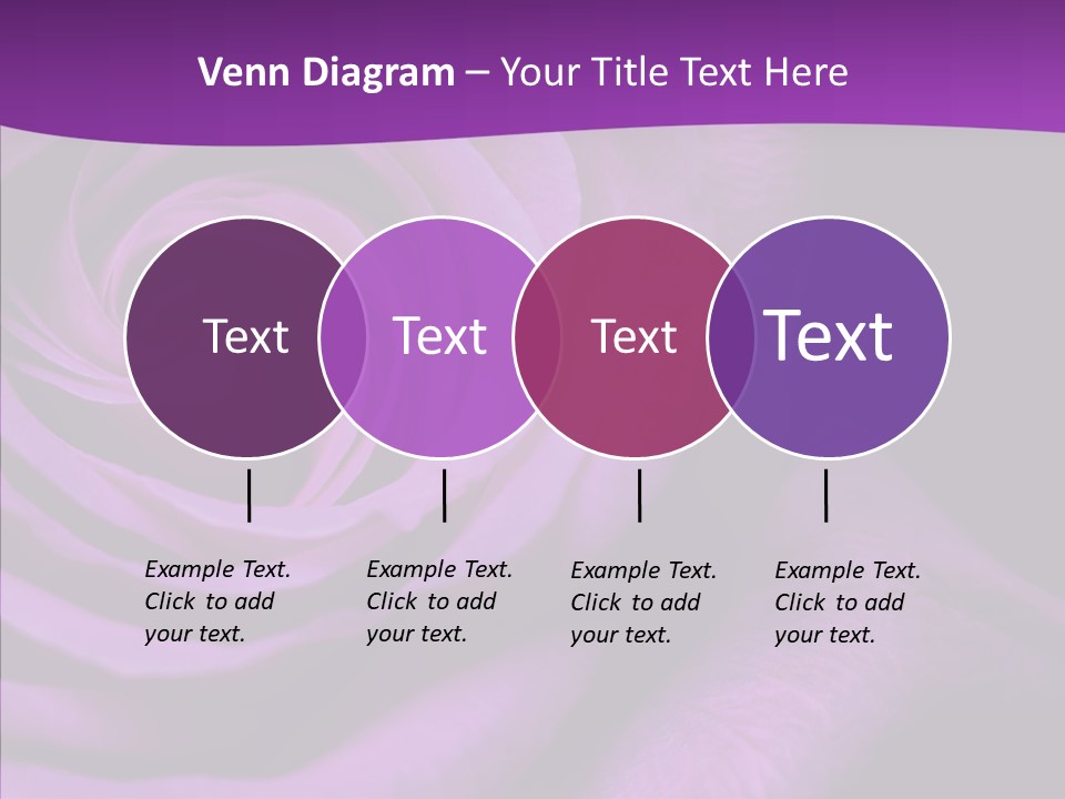 Blossom Rose Flower PowerPoint Template