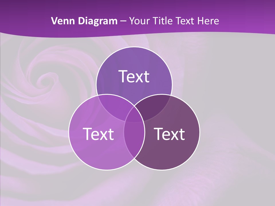 Blossom Rose Flower PowerPoint Template