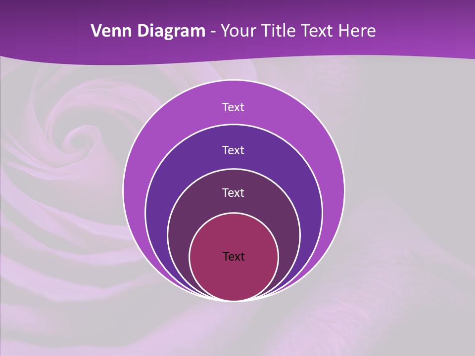 Blossom Rose Flower PowerPoint Template