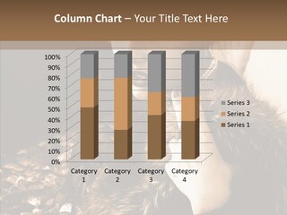 Board Per On Humor PowerPoint Template