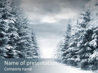 Season December White PowerPoint Template