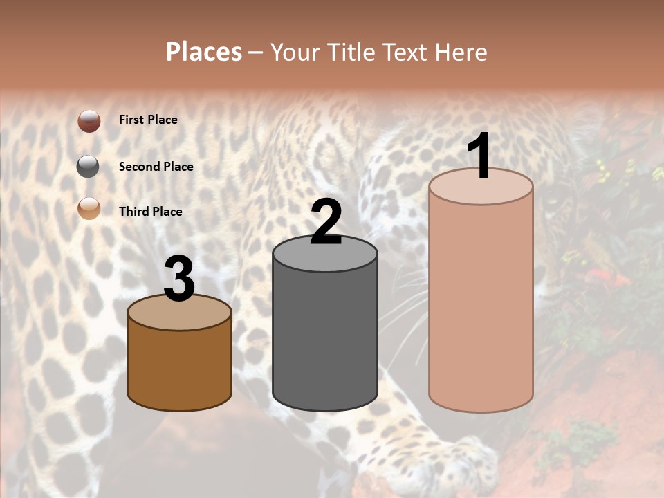 Cat Park Exotic PowerPoint Template