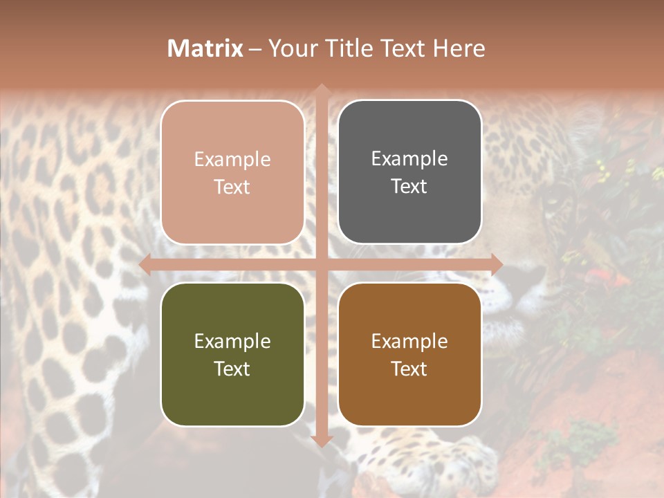 Cat Park Exotic PowerPoint Template