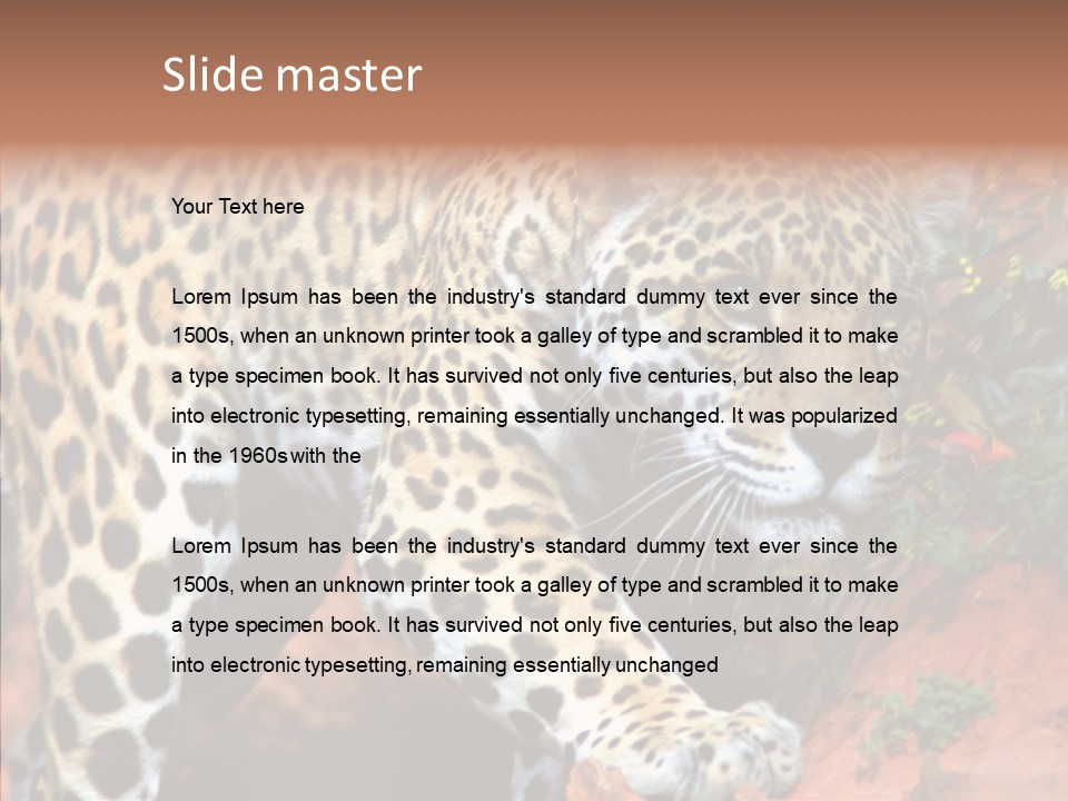 Cat Park Exotic PowerPoint Template