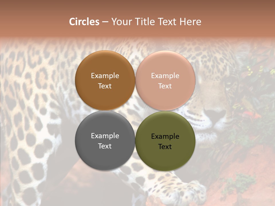 Cat Park Exotic PowerPoint Template