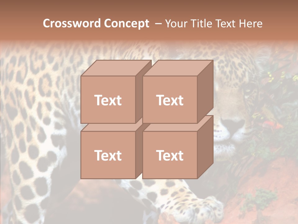 Cat Park Exotic PowerPoint Template