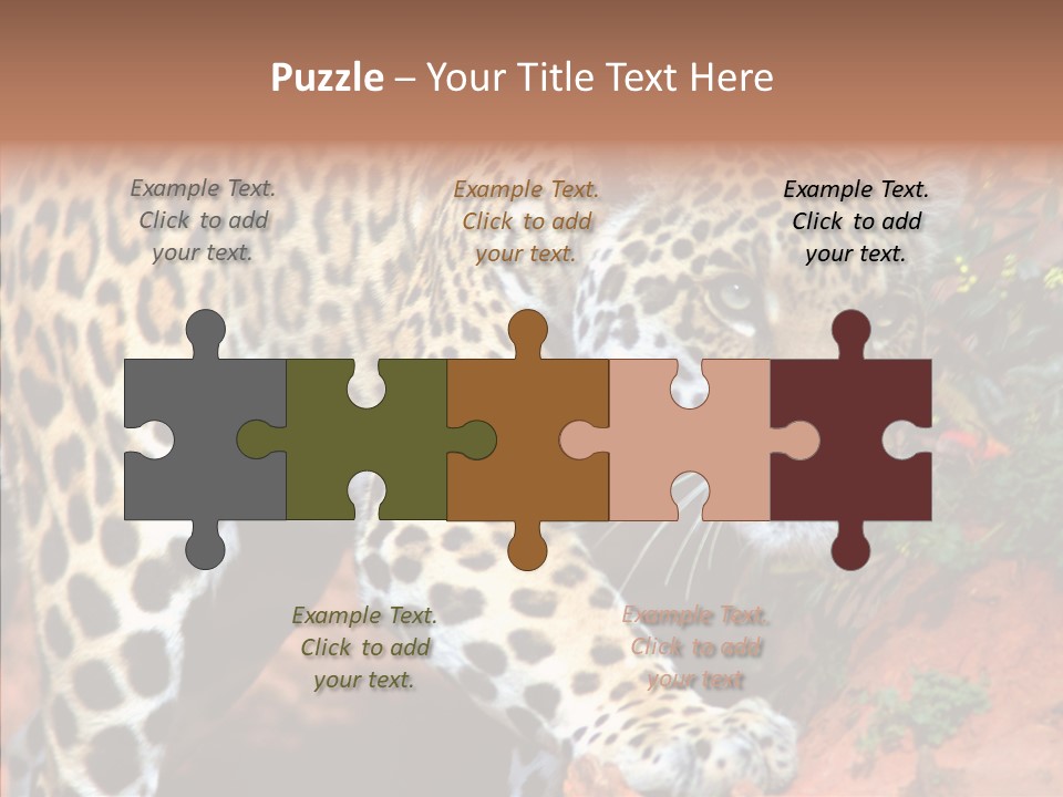 Cat Park Exotic PowerPoint Template