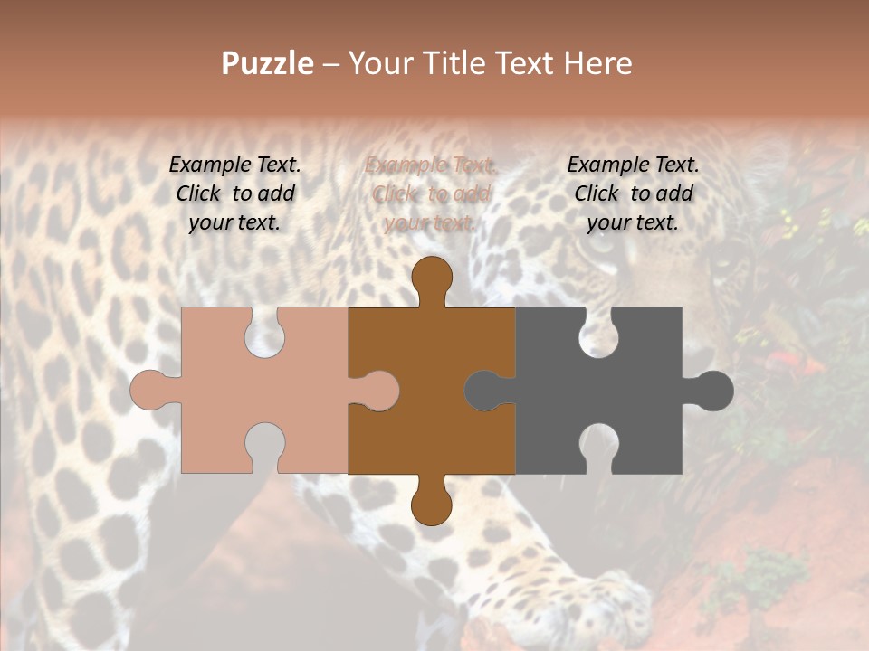 Cat Park Exotic PowerPoint Template