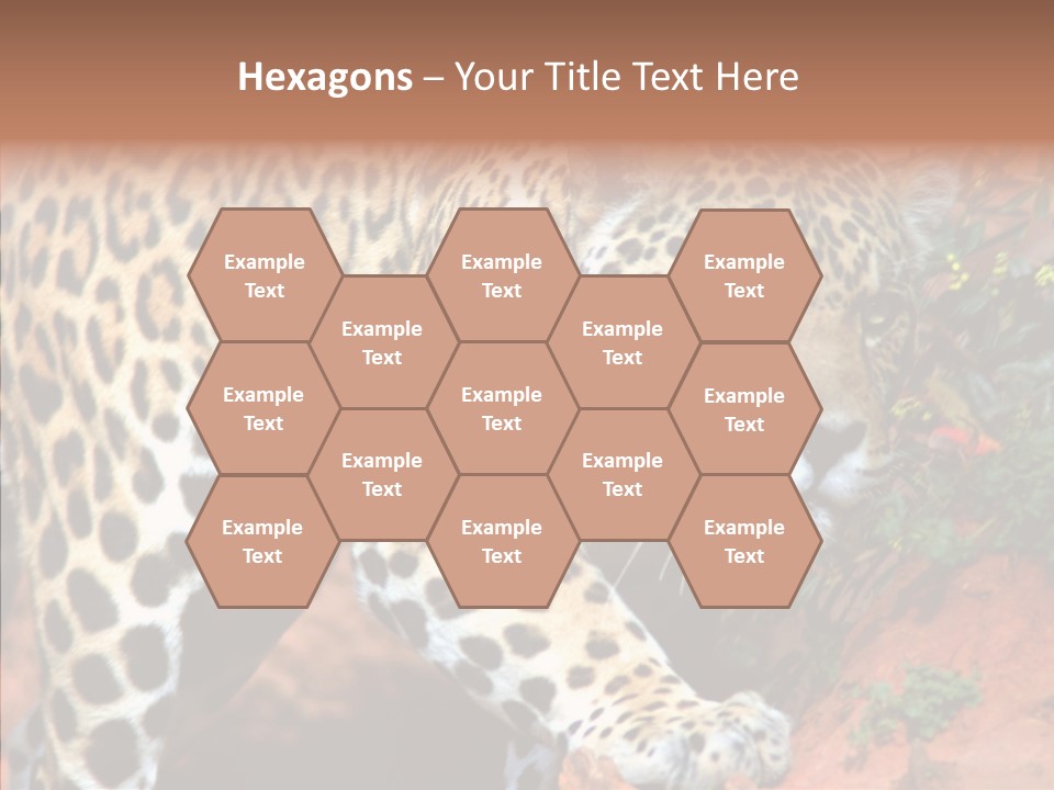 Cat Park Exotic PowerPoint Template