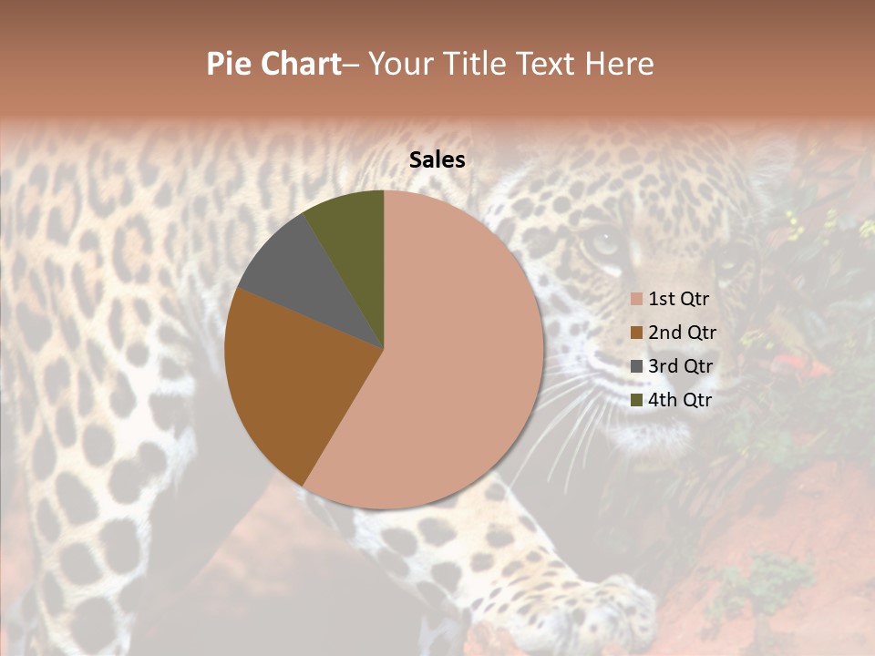 Cat Park Exotic PowerPoint Template
