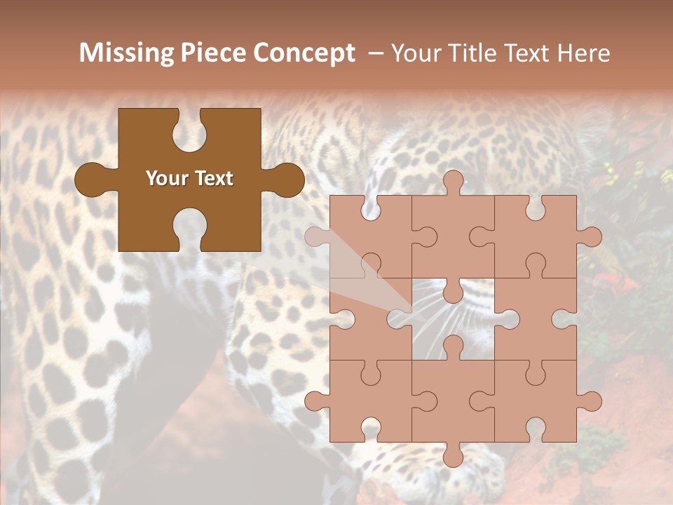 Cat Park Exotic PowerPoint Template