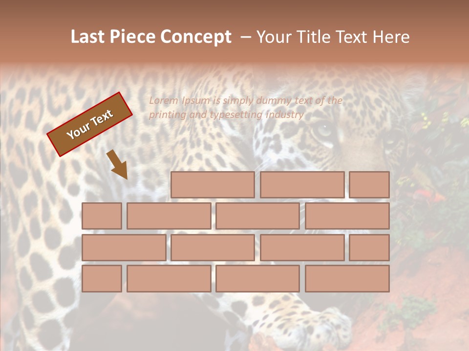 Cat Park Exotic PowerPoint Template