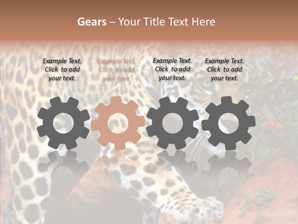 Cat Park Exotic PowerPoint Template