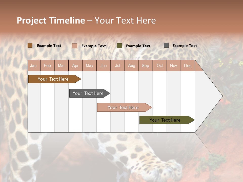 Cat Park Exotic PowerPoint Template
