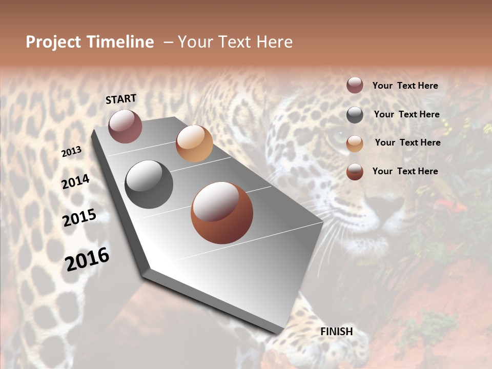 Cat Park Exotic PowerPoint Template