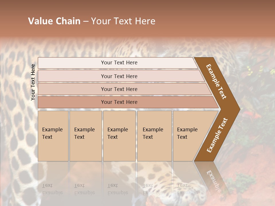 Cat Park Exotic PowerPoint Template