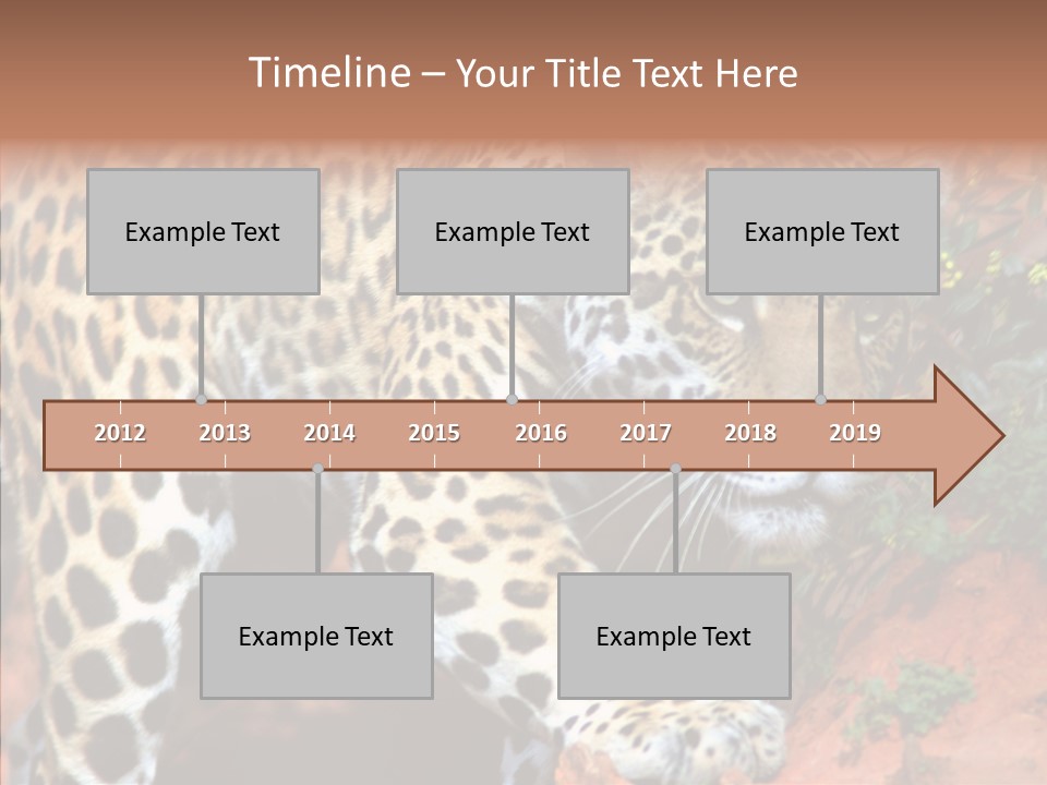Cat Park Exotic PowerPoint Template