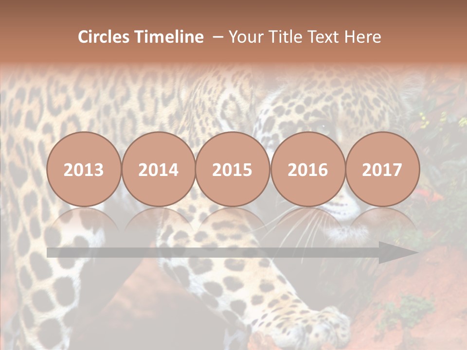 Cat Park Exotic PowerPoint Template
