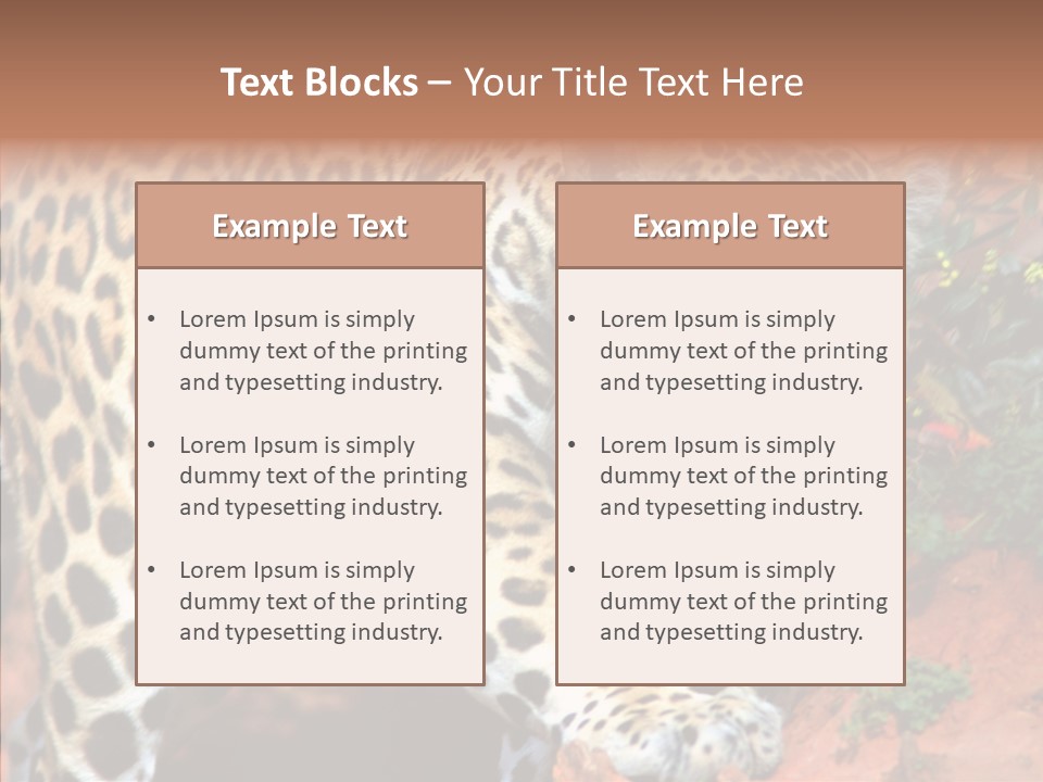 Cat Park Exotic PowerPoint Template