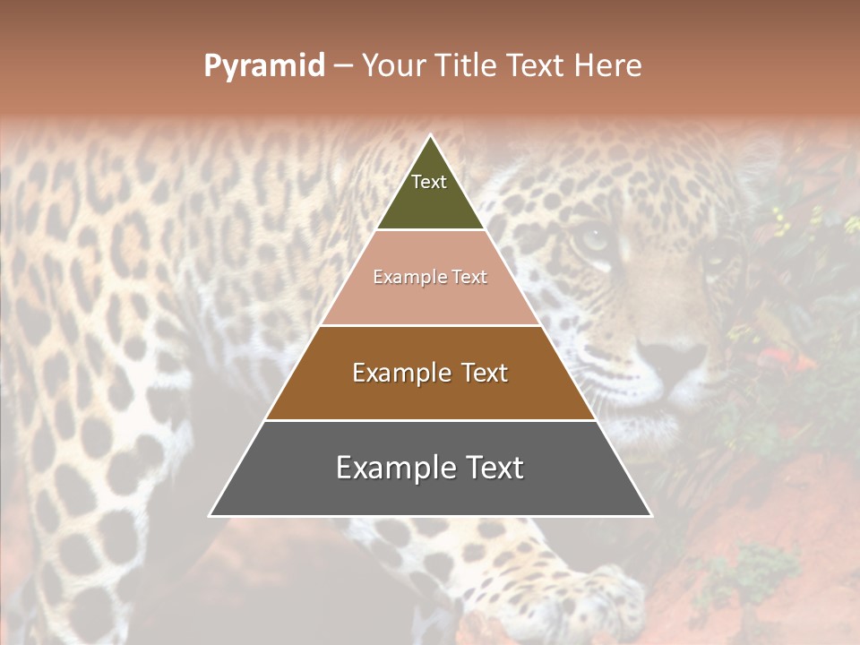 Cat Park Exotic PowerPoint Template