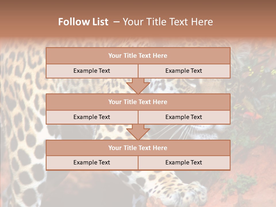 Cat Park Exotic PowerPoint Template