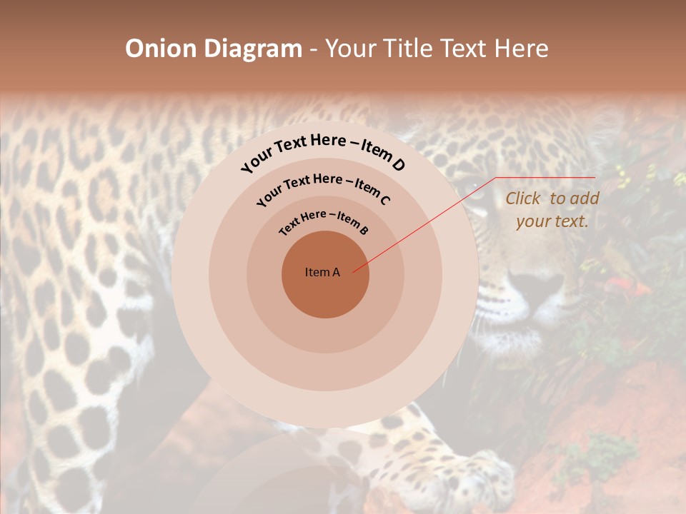 Cat Park Exotic PowerPoint Template