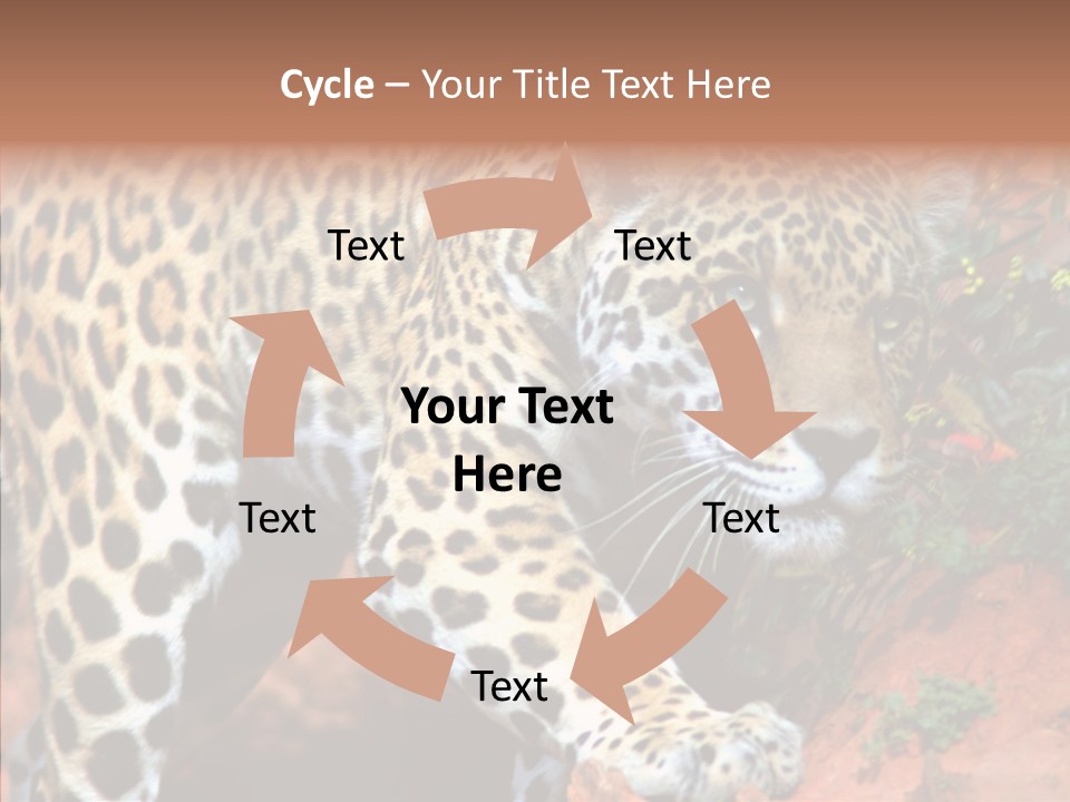 Cat Park Exotic PowerPoint Template