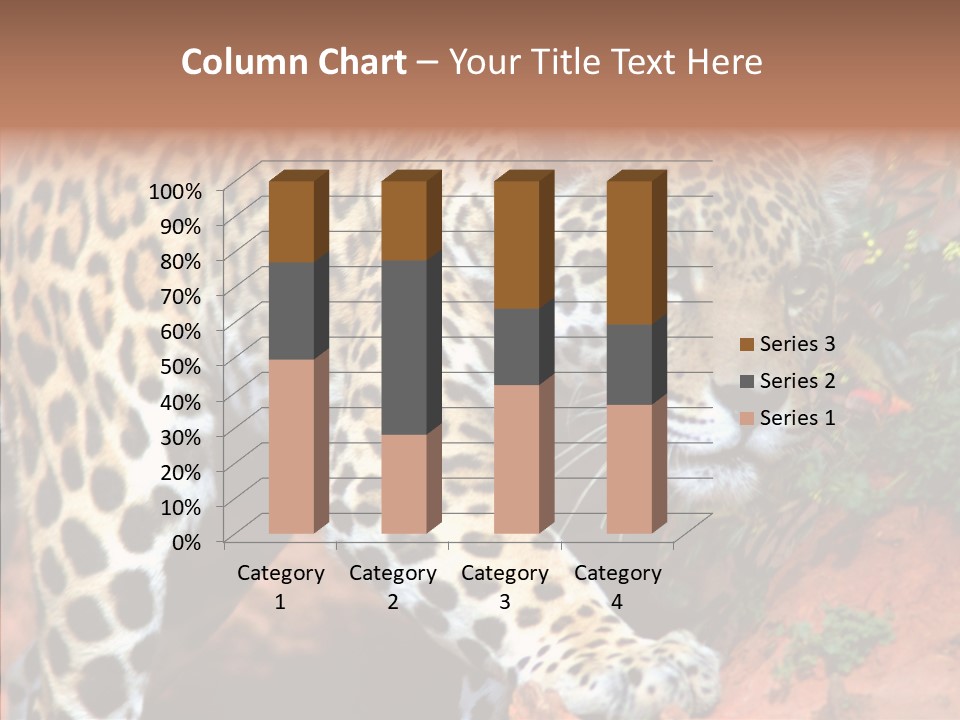 Cat Park Exotic PowerPoint Template