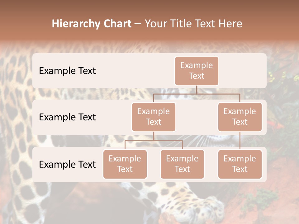 Cat Park Exotic PowerPoint Template