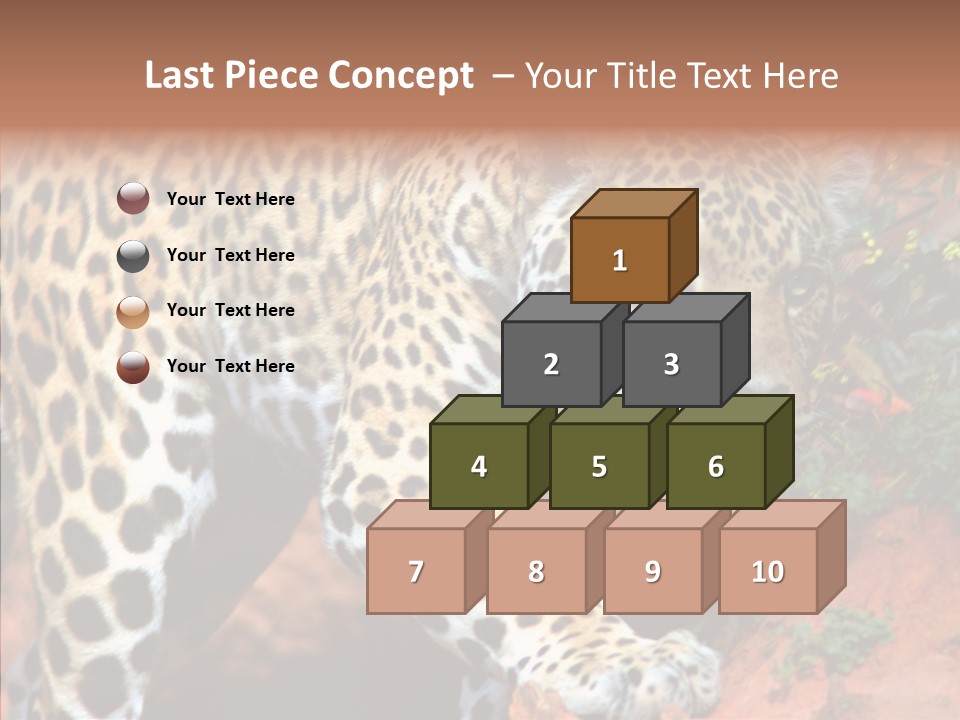Cat Park Exotic PowerPoint Template