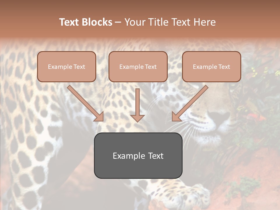 Cat Park Exotic PowerPoint Template