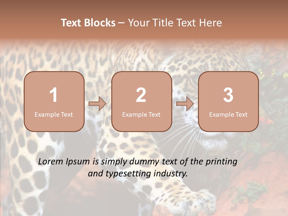 Cat Park Exotic PowerPoint Template