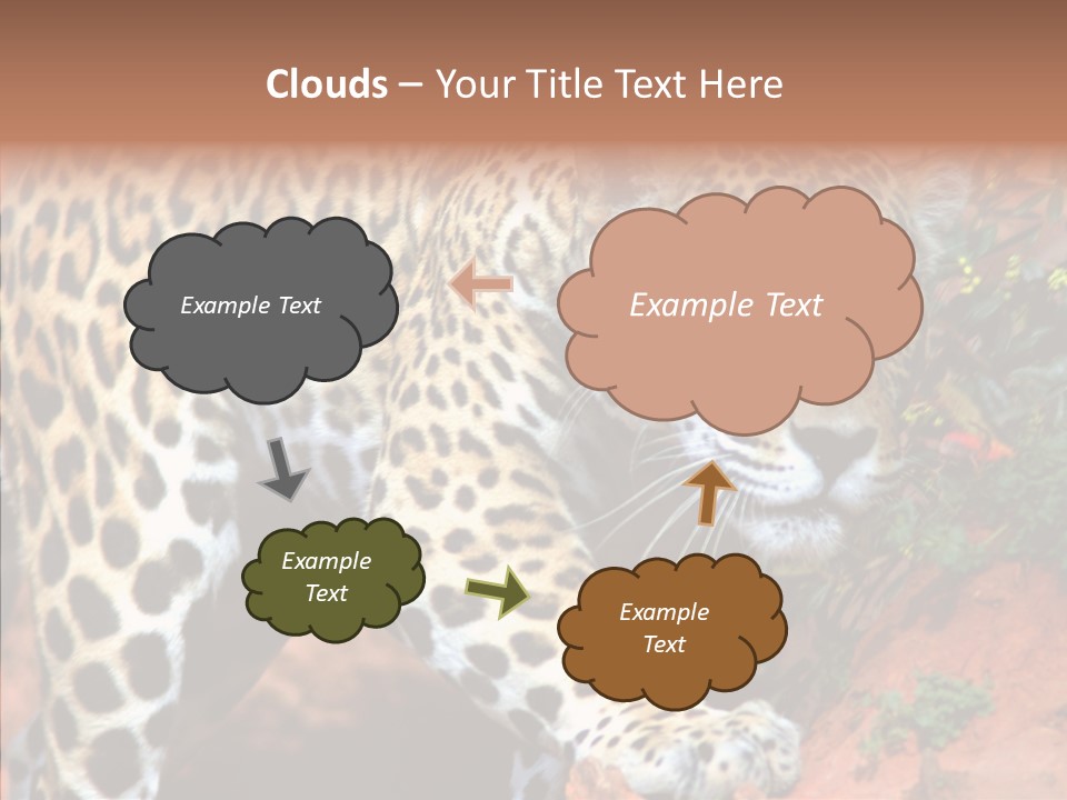 Cat Park Exotic PowerPoint Template