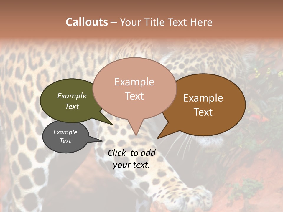 Cat Park Exotic PowerPoint Template