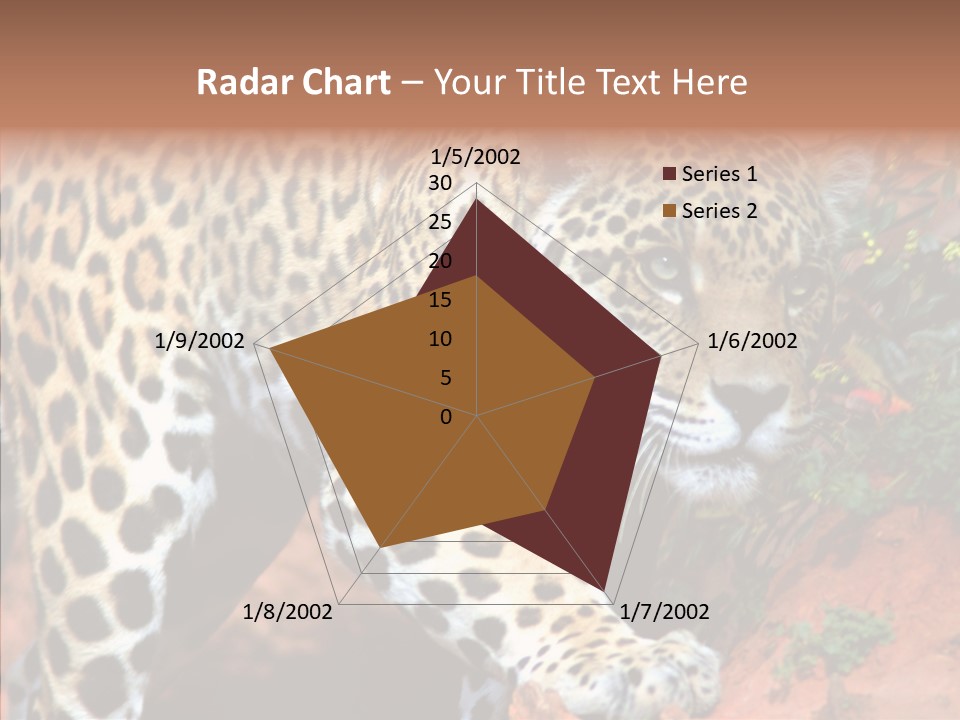 Cat Park Exotic PowerPoint Template