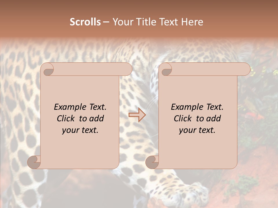 Cat Park Exotic PowerPoint Template