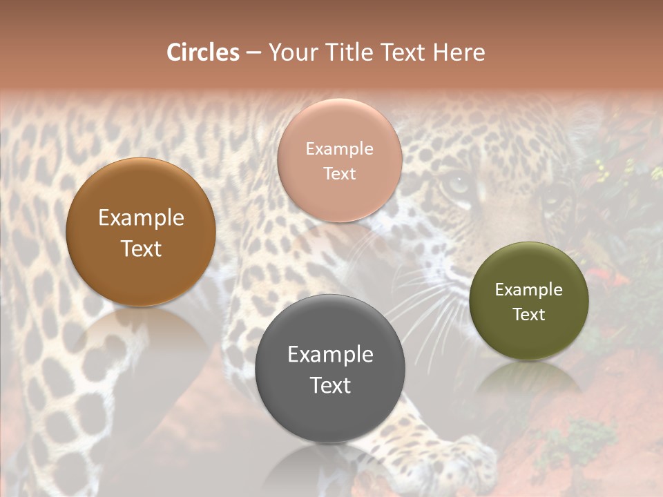 Cat Park Exotic PowerPoint Template